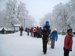 silvestr 2010